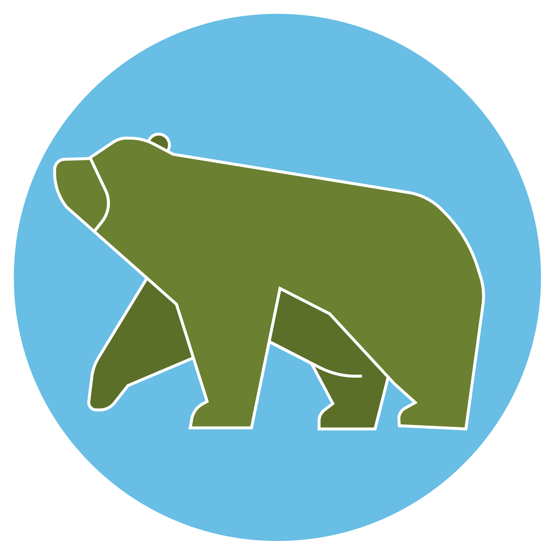 Orso marsicano